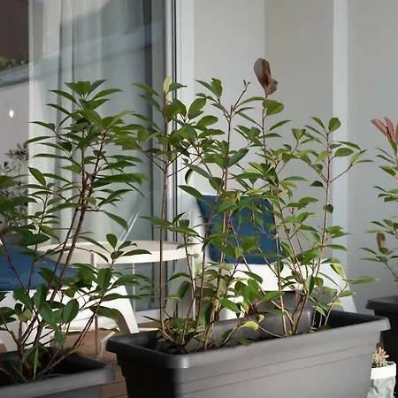 Apartman Profondo *