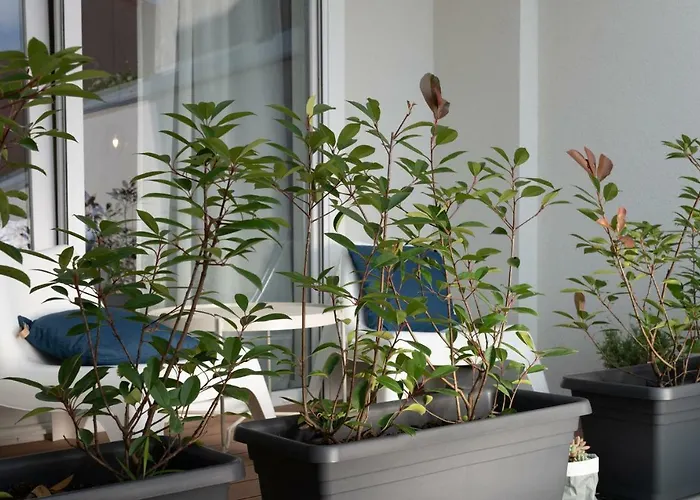 아파트 Profondo *